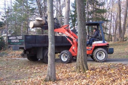 loading the logs