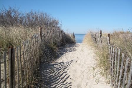 Cape May Point beach 
trail